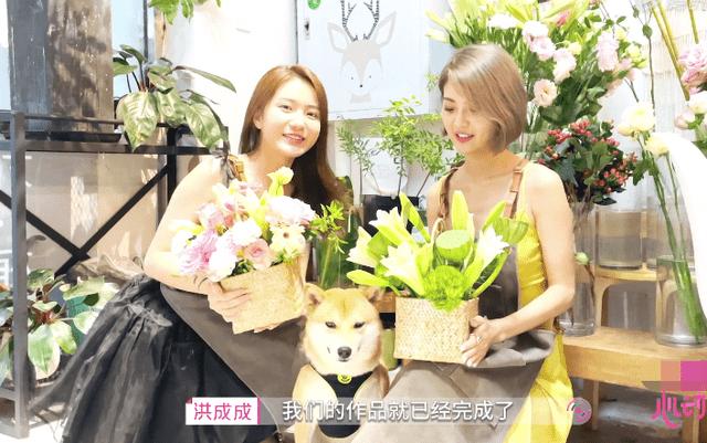 震惊！吃白菜吃到撑也不胖的秘密揭晓！