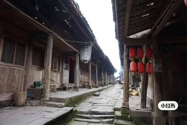 红色鹦鹉逃脱